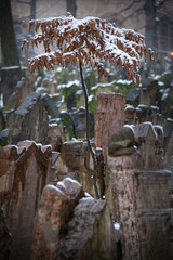 Prague, Czech Republic - The Old Jewish Cemetery