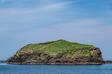Fototapeta na wymiar カモメの島
