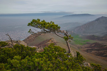 горный пейзаж
