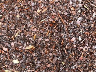 Rindenmulch