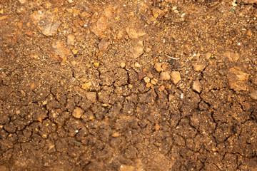 The soil is drought and lack of abundance