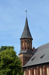 Fototapeta na wymiar German cathedral in Kaliningrad, Russia