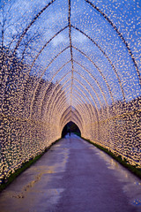 Christmas light forming a tunnel. Fairy lights, lanterns creating a tunnel at the city's botanic...