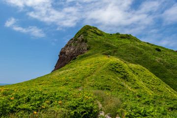 大野亀