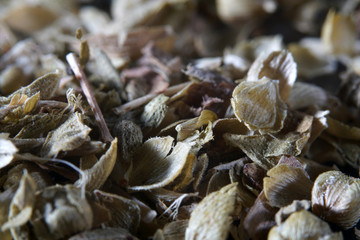 Oregano is commonly known today as pizza spice 