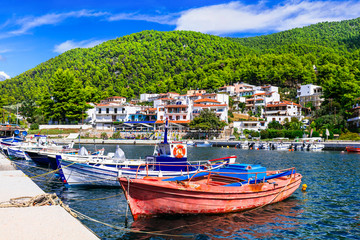 Fototapeta na wymiar Best beaches of Skopelos island - beautiful Limnonari with amazing bay. Sporades islands of Greece