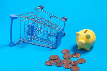 Miniature piggy bank and empty shopping basket