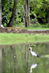 Openbill