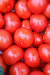 tomatoes on a black background