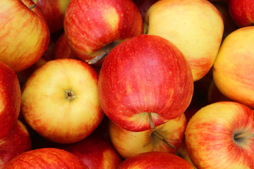 Fototapeta na wymiar fresh apples in the market