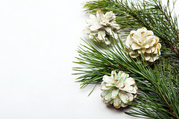 pine twigs and white decorative cones on a white background, copy space