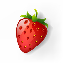 Strawberry vector isolated on white background, red berry vector illustration