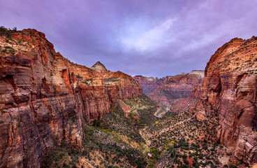 Naklejka premium Zion National Park