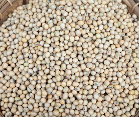 Organic soybean seed in the bamboo bucket.