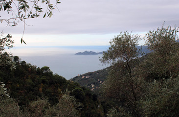 Obraz premium Vallata boscosa con borgo marino sulla costa e mare con golfo