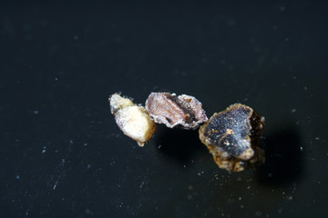 Pepper was a luxury item, but its importance was mainly because it can be used to make food durable for a long time.