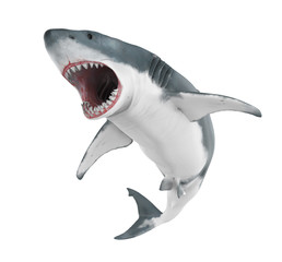 Fototapeta premium Wielki biały rekin na białym tle