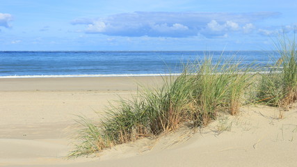 Dünen und Strand bei Renesse