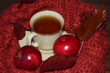 autumn tea wrapped in a wool shawl and red apples and leaves