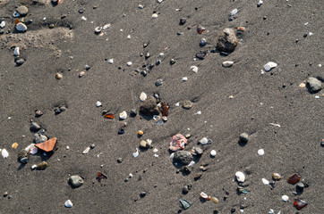 海岸の小石と貝殻