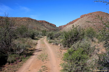 Adventure two track dirt road leading into a gorge in the mountains.
