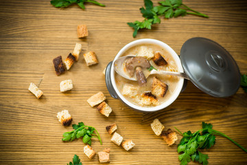 soup puree with mushrooms and croutons in an bowl