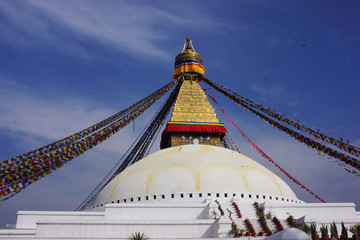 Buddha Stupa Nepal Kathmandu 2014