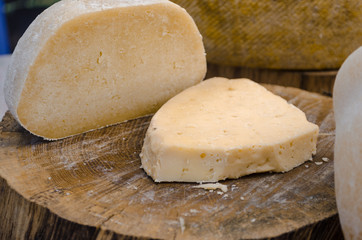 Fototapeta na wymiar many different hard cheeses