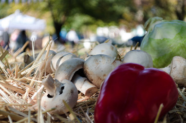 red pepper and mushrooms on straw