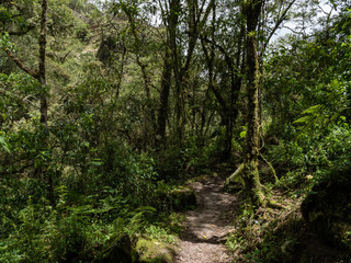 Fototapeta na wymiar Trail Pass in Peruvian Mountains