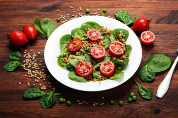 Salad of baby spinach leaves, green lentils, cherry tomatoes, olive oil and lemon juice in a bowl on a brown wooden surface. A dietary dish. Vegetarian, vegan concept