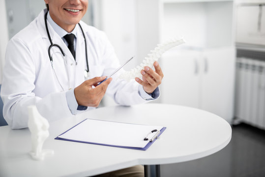 Careful positive general practitioner sitting at white table and smiling while holding little spinal model in his hands