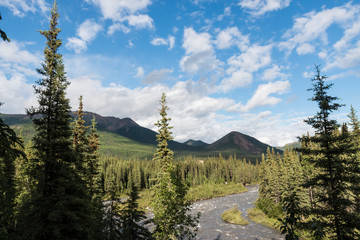 Landscape view of Denali National Park in Alaska.
