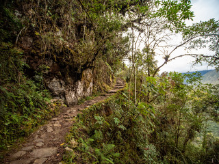 Inka Trail Going to Machu Picchu