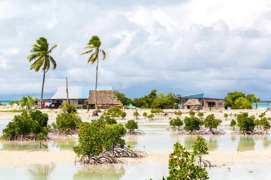 Village on South Tarawa atoll, Kiribati, Gilbert islands, Micronesia, Oceania. Thatched roof houses. Rural life, a remote paradise island under palms