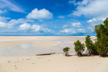Sandy paradise beach of azure turquoise blue shallow lagoon, North Tarawa atoll, Kiribati, Gilbert Islands, Micronesia, Oceania. Palm trees, mangroves