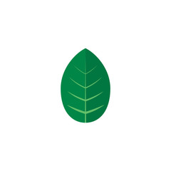 Green leaf vector symbol