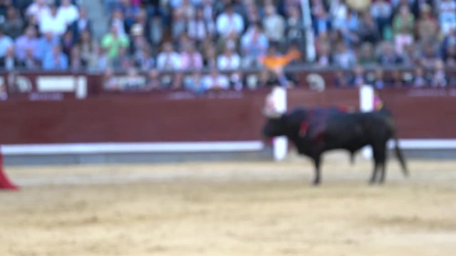 Man bullfighter dressed in bullfighting costume. Defocused image.
