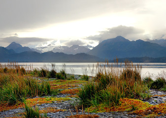 Fall Colors on the Spit of Homer, Alaska