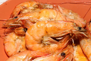 shrimps on a plate