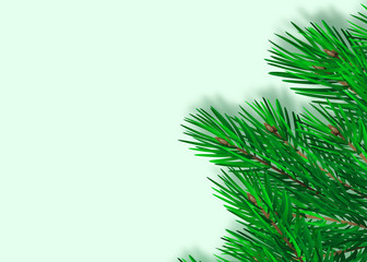 Obraz premium Green lush spruce branch. Fir branches. Isolated on white vector illustration