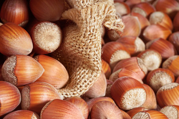 Hazelnut close up. Hazelnut background. Nuts in a burlap bag.