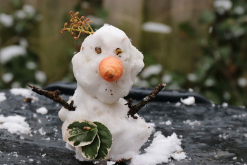 An image of a funny snowman with carrot, closeup