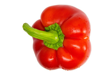 Peppers. Paprika. Bell pepper isolated on white. Sweet pepper. With clipping path. Full depth of field.