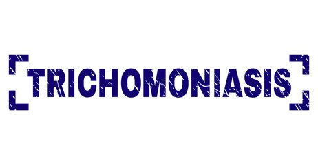 TRICHOMONIASIS text seal print with corroded texture. Text title is placed between corners. Blue vector rubber print of TRICHOMONIASIS with dust texture.