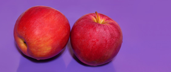 two red apples on a purple background