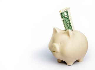 Piggy bank and one dollar