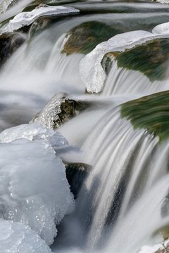 Ice-covered stones in the river bed of the Triesting, Pottenstein, Lower Austria, Austria, Europe
