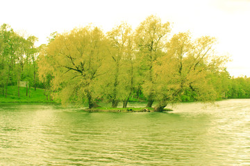 Three trees on an island in the middle of a lake. Toned.