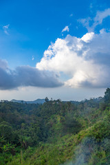 Fototapeta na wymiar Aerial view to jungle in the nothern Bali, Indonesia
